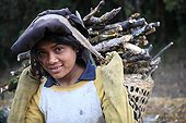 Child carrying firewood Nepal Himalayas