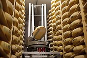 Cave ripening cheese Comté in the Jura France ; The robot dirty and automatically returns the cheese