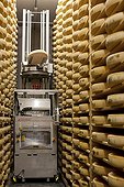 Cave ripening cheese Comté in the Jura France ; The robot dirty and automatically returns the cheese