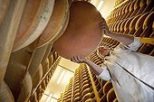 Cave ripening cheese Comté in the Jura France ; The master cheesemaker returns manually cheese wheels 