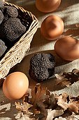 Harvest of black truffles in a basket and eggs