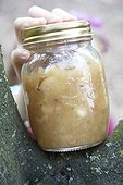 Jar with with apple sauce