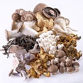 Mushroom mix