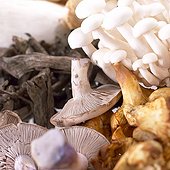 Mushroom mix