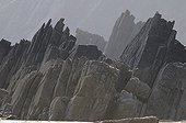 Rocks at low tide Pembrokshire NP Wales