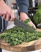 Cutting curly kale