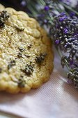 Cookie and stalks of lavender