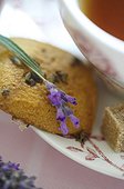 Lavender cookie and cup of tea