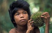 Boy with durian fruit in the Bukit Duabelas NP Sumatra ; Suku Anak Dalam tribe