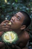 Young man eating Durian and looking up Sumatra ; Suku Anak Dalam tribe