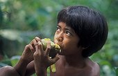 Boy eating tayoy fruit in the Bukit Duabelas NP Sumatra ; Suku Anak Dalam tribe<br>