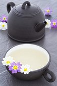Cup of Primrose Tea and Tea pot and Primrose flowers