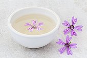 Tea bowl of Purple flowers and Purple flowers