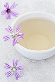 Tea bowl of Purple flowers and Purple flowers