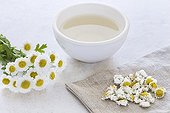 Bowl of Chamomile flowers Tea and Chamomile flowers