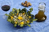 Spring salad with Daisies and Dandelions France ; Salad "weed garden" with daisies and dandelions. This pretty salad of early spring is very easy. Just pick up in his garden "organic" a few young leaves of daisies and dandelions that we take care to clean, and a number of flowers and buttons. It is served with a vinaigrette and some chopped nuts. Accompanied by a good red wine, it is delicious!  