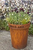 Tulips and fritillaries in pot in a garden terrace