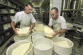 Making cheese Morbier AOC France  ; Cut the quail, incorporation of coal and molding<br>Fruit of 34 members, The Cheese du Haut-Doubs'