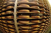 Wheels of cheese Morbier AOC in a ripening cave France ; Fruit of 34 members, The Cheese du Haut-Doubs'