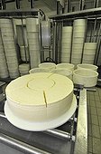 Manufacturing Raclette cheese France ; Fruit of 34 members, The Cheese du Haut-Doubs'