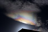 Solar corona and iridescence in clouds ; Solar corona and iridescence in clouds caused by drops of similar diameter.