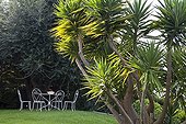 Garden Mediterranean Riviera France 