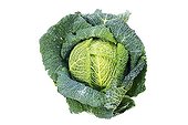 Curled kale in studio on white background
