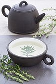 Wormwood herb tea in a bowl of earth ; Sheets are placed in the bowl and on the worktop, slate tea-maker is placed in the background