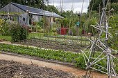 Lanes of vegetables in an organic kitchen garden