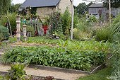 Lanes of vegetables in an organic kitchen garden