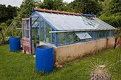 Greenhouse and rain water butts in an organic garden