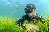 Freediver on Seagrass Syringodium Martinique 