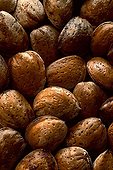 Almonds 'Marcona' Balaguer in Catalonia Spain