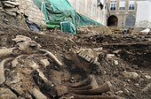 Squelette dans une sépulture Fouille archéologique France