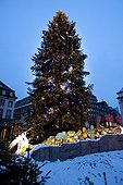 Great Christmas Tree Place Kleber Strasbourg Alsace France