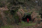 Little Red Riding Hood on a forest road Britain France 