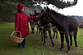 Little Red Riding Hood stroking a donkey Britain France