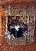Poet's jasmine bouquet