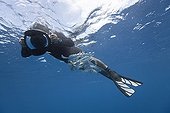 Sardines hiding under Diver Yucatan Peninsula Mexico