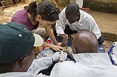 Research on avian influenza in a backyard Mali  ; Sophie Molia (veterinarian) and his team of CIRAD, Centre for International Cooperation in Agronomic Research for Development.