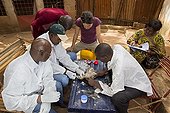 Research on avian influenza in a backyard Mali  ; Sophie Molia (veterinarian) and his team of CIRAD, Centre for International Cooperation in Agronomic Research for Development.