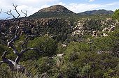 Chiricahua Mountains National Monument Arizona USA