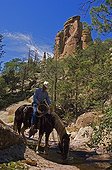 By drinking his horse rider Chiricahua Mountains USA 