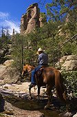Rider in a river Chiricahua Mountains NM USA 
