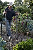 Man using a grelinette in an organic garden