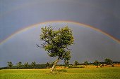 Quetschiers stems from a high-arcing rainbow France