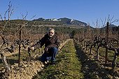 Weeding through the ranks in fall footwear Provence France ; Character: Andrew  Hall, Domaine des Bernardins
