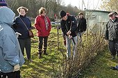 Learning the pruning ornemental shrubs in winter France ; Association 'Paths Fruit'