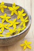 Common Saint Johnswort flowers in a wooden bowl