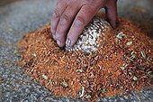 Man grinding a mixture of seeds and spices India ; This mixture is used as medicine by amchis